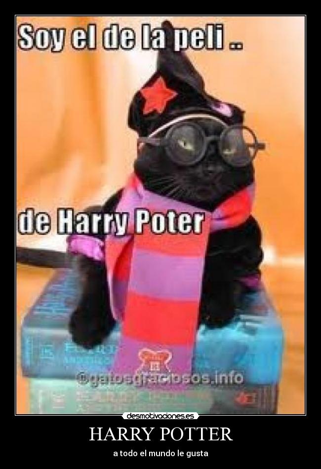 HARRY POTTER - a todo el mundo le gusta