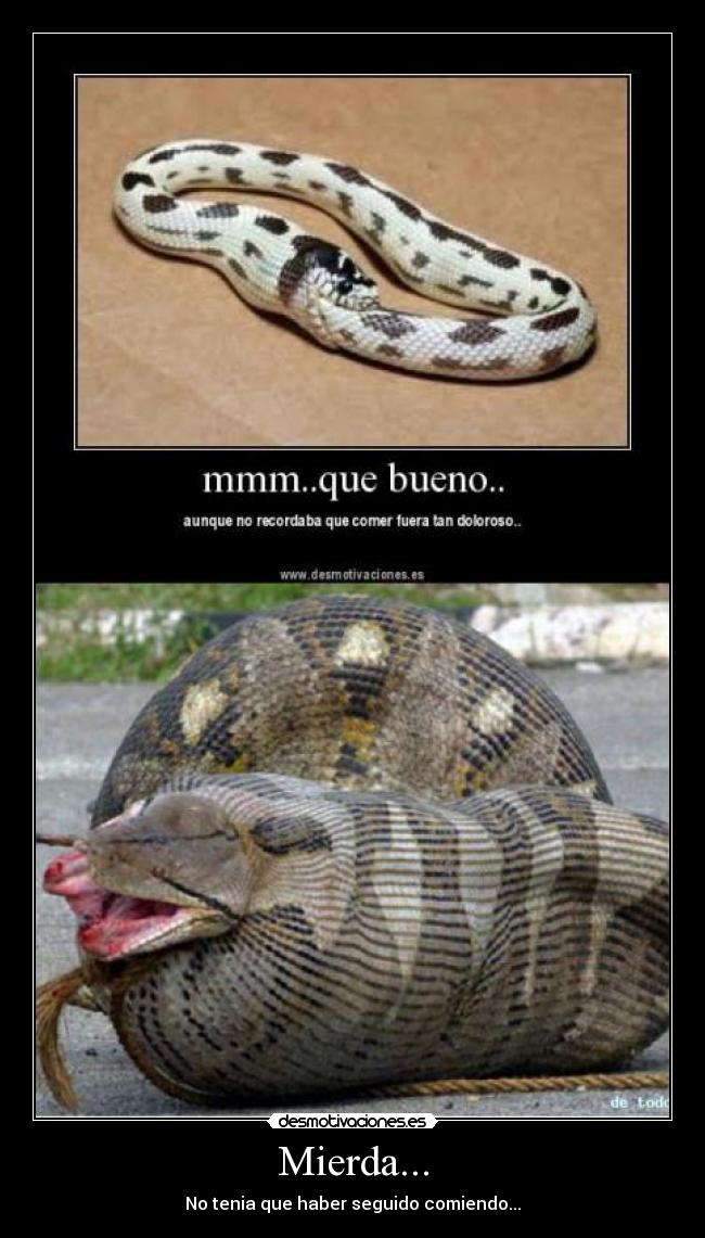 Mierda... - No tenia que haber seguido comiendo...