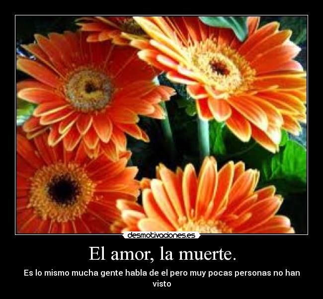 El amor, la muerte. - Es lo mismo mucha gente habla de el pero muy pocas personas no han visto