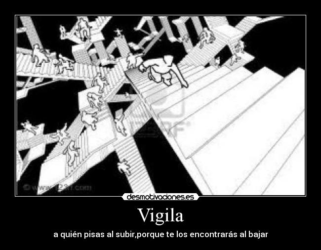 Vigila -