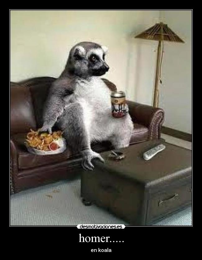 homer..... - en koala