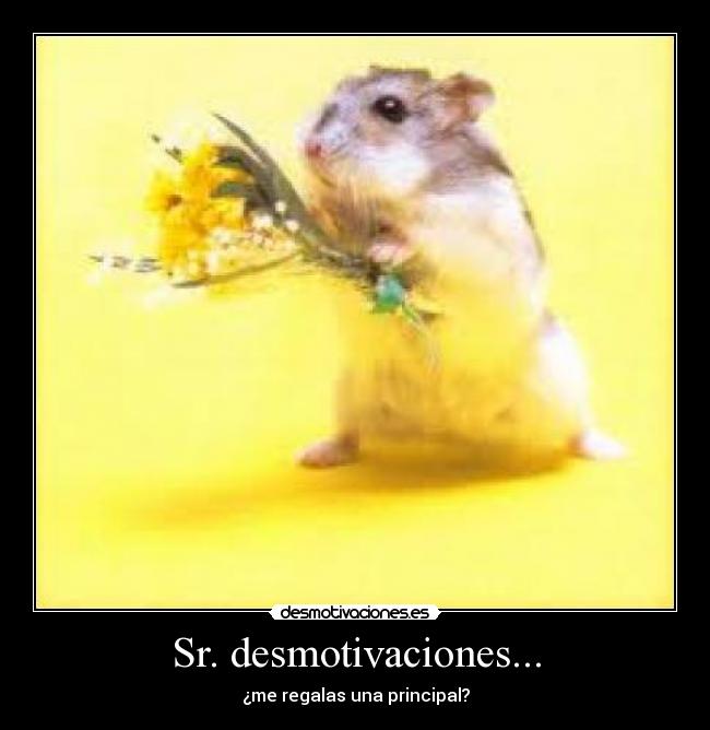 Sr. desmotivaciones... - 