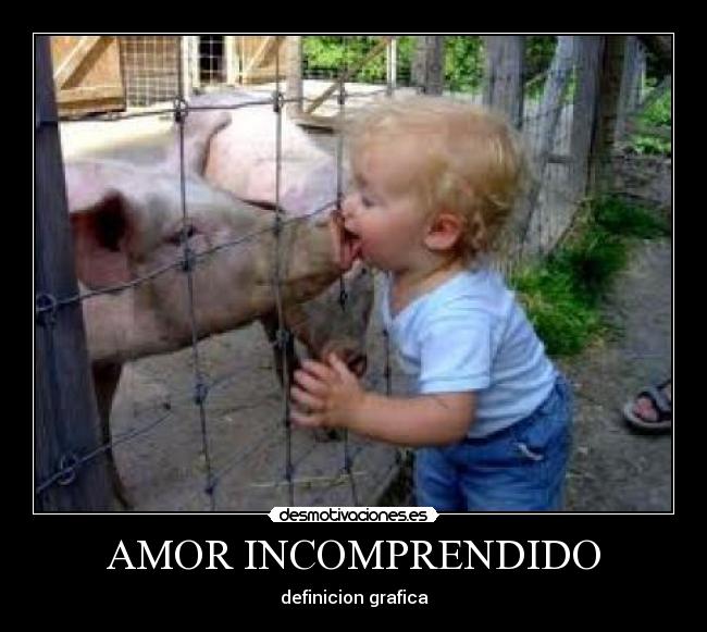 AMOR INCOMPRENDIDO - 