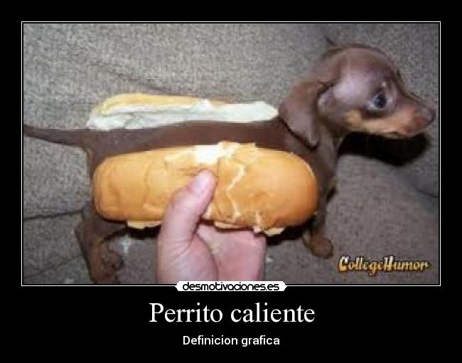 Perrito caliente - 