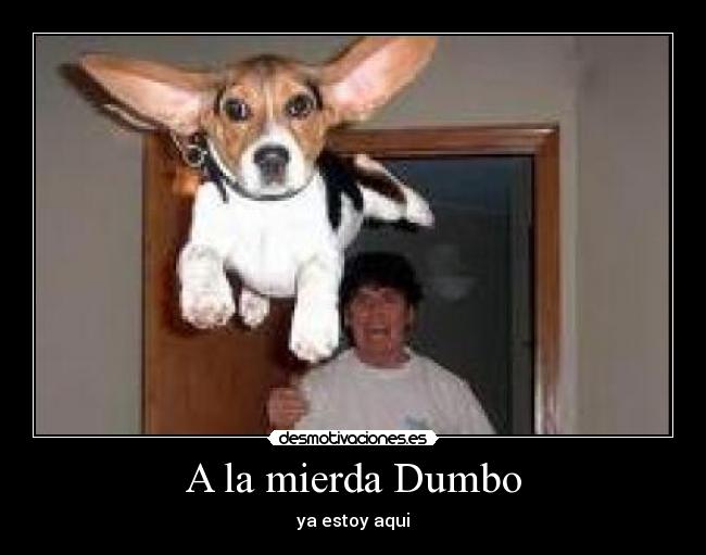 carteles gays partidoo futbol desmotivaciones