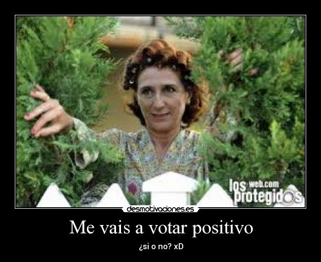 Me vais a votar positivo - 