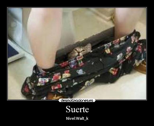Suerte - Nivel:Walt_k