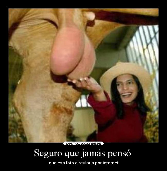 Seguro que jamás pensó -