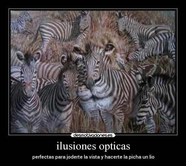 ilusiones opticas - 