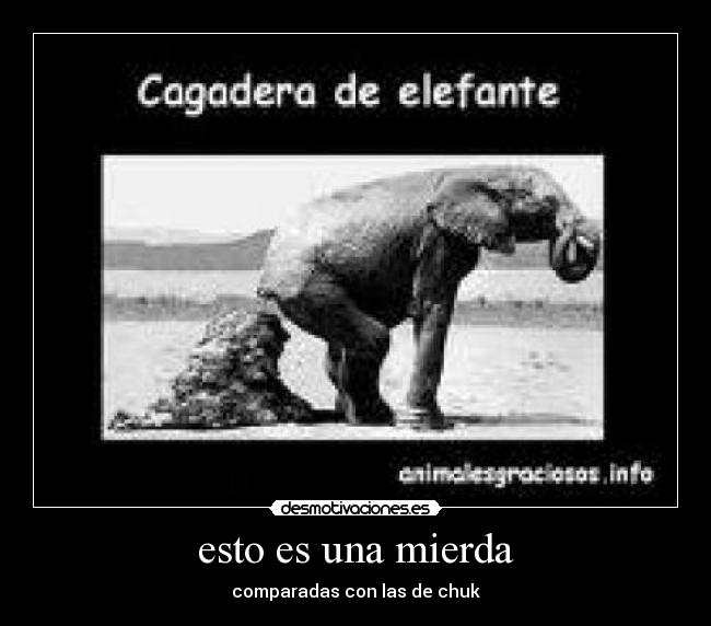 esto es una mierda -