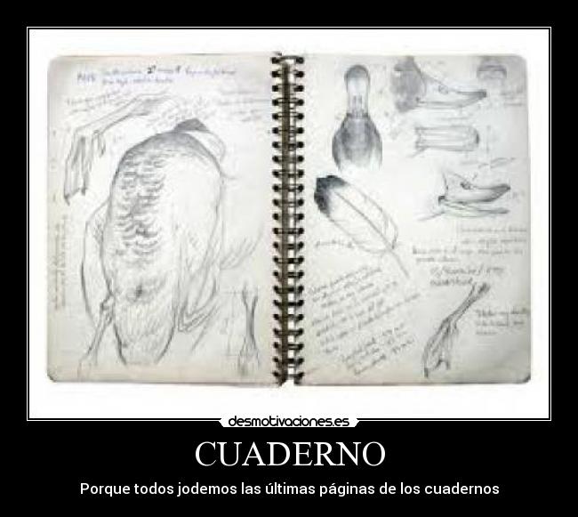 CUADERNO - 
