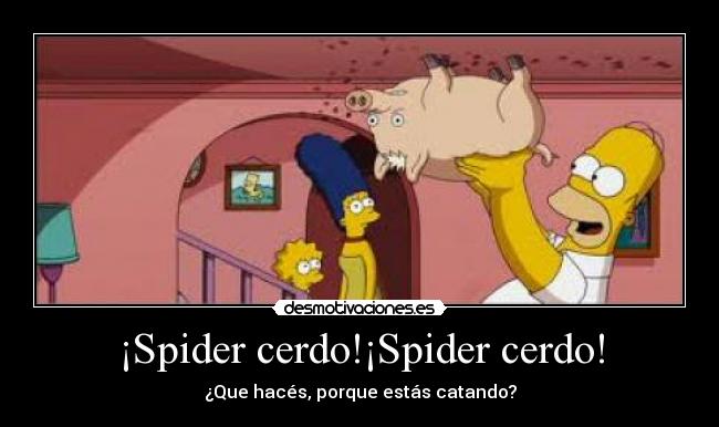 carteles spidercerdo desmotivaciones