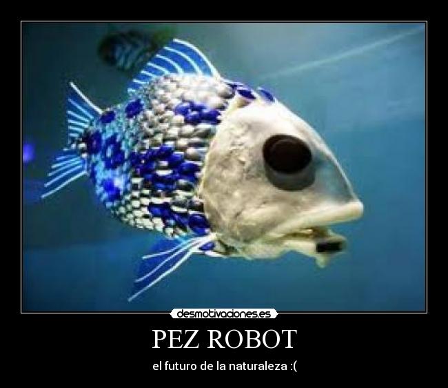 carteles pez desmotivaciones