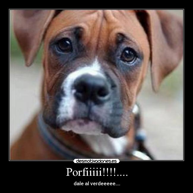 Porfiiiii!!!!.... - dale al verdeeeee....