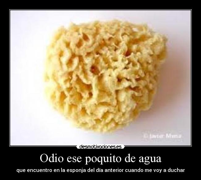 Odio ese poquito de agua - 