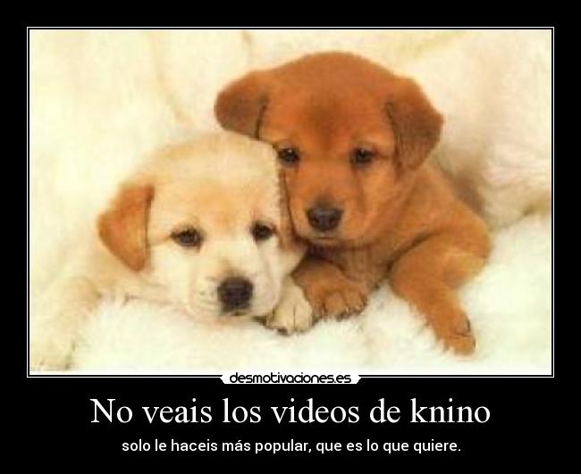 No veais los videos de knino - 