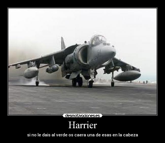 Harrier -