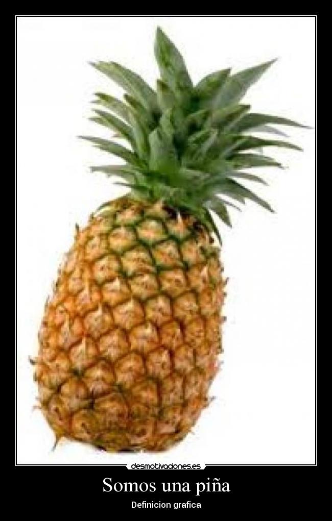 Somos una piña - Definicion grafica