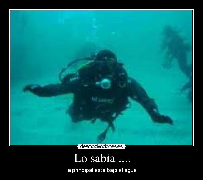 Lo sabia .... - la principal esta bajo el agua