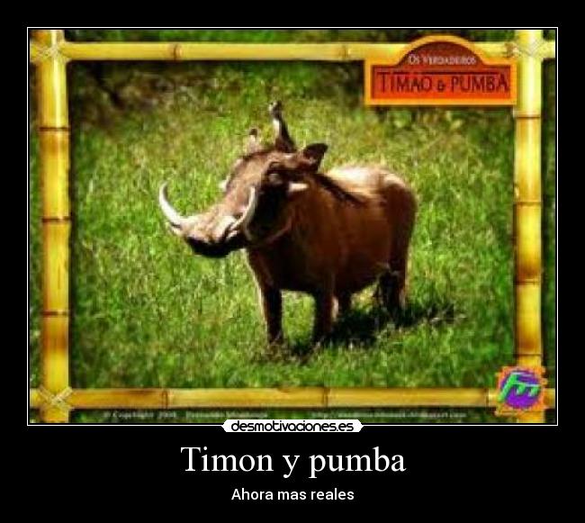 carteles iker99 desmotivaciones