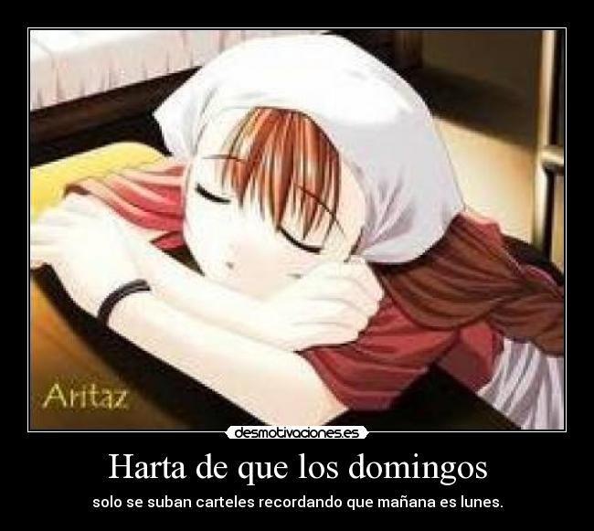 Harta de que los domingos - solo se suban carteles recordando que mañana es lunes.