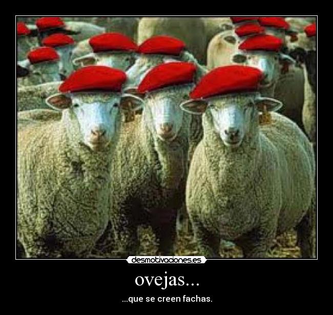 ovejas... - ...que se creen fachas.