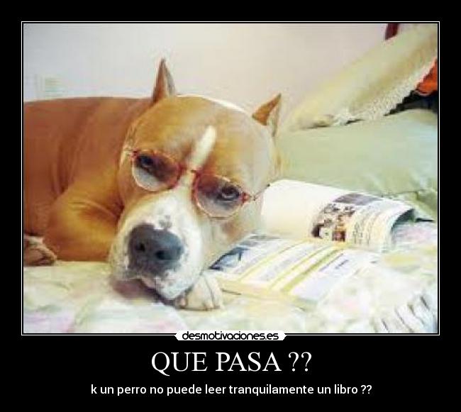 QUE PASA ?? - 