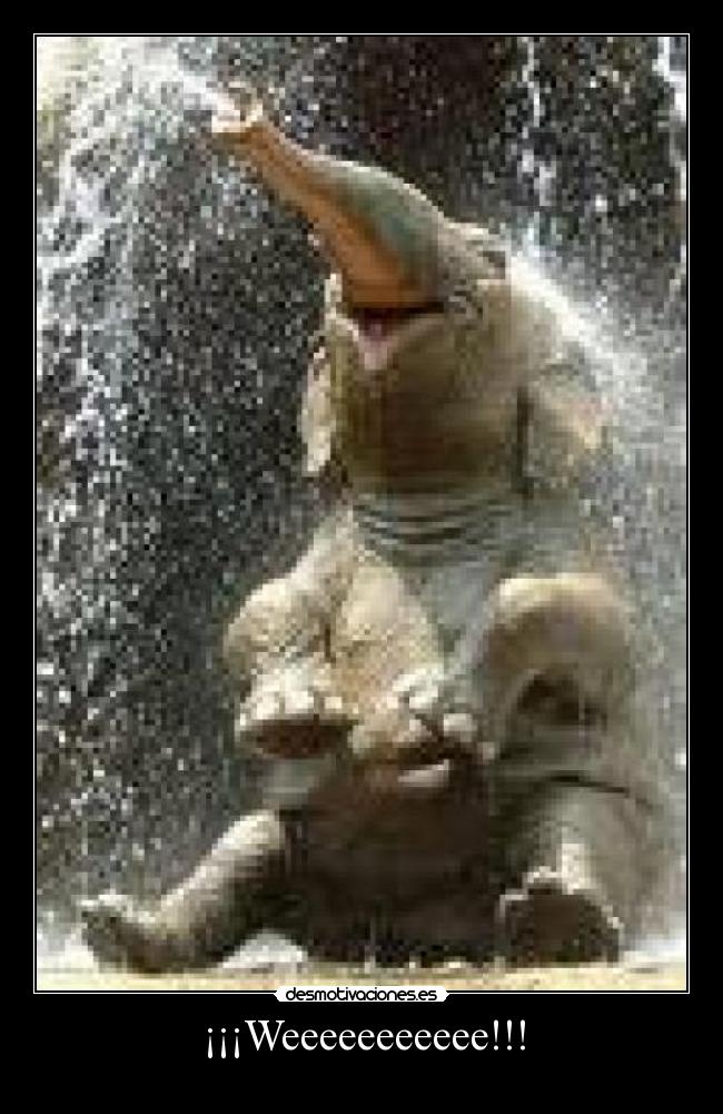 ¡¡¡Weeeeeeeeeee!!! - 