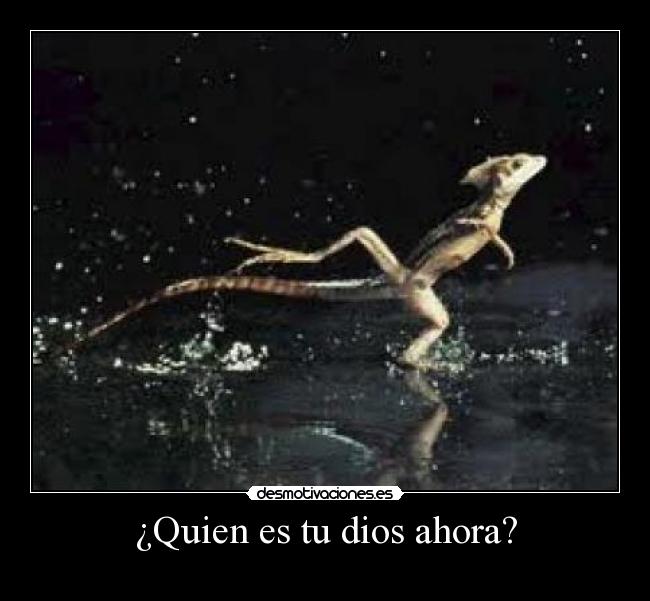 ¿Quien es tu dios ahora? -