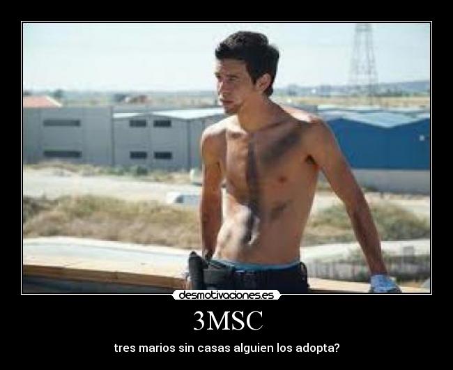 3MSC - tres marios sin casas alguien los adopta?