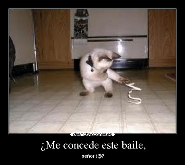 ¿Me concede este baile, -