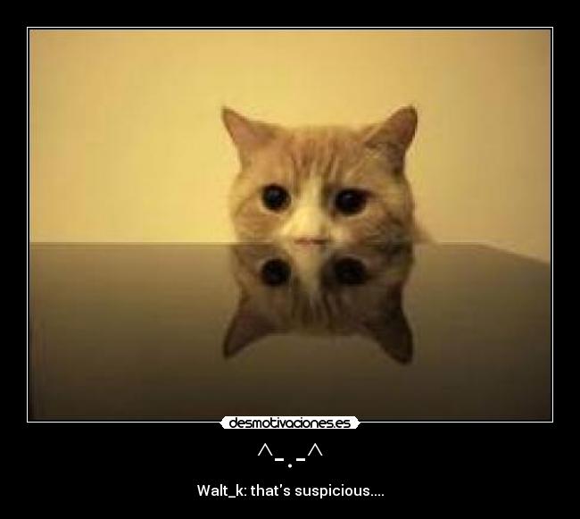 ^-.-^ - Walt_k: thats suspicious....