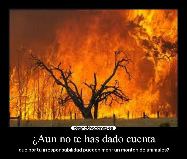 carteles fuego desmotivaciones