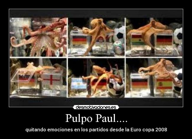 Pulpo Paul.... - quitando emociones en los partidos desde la Euro copa 2008