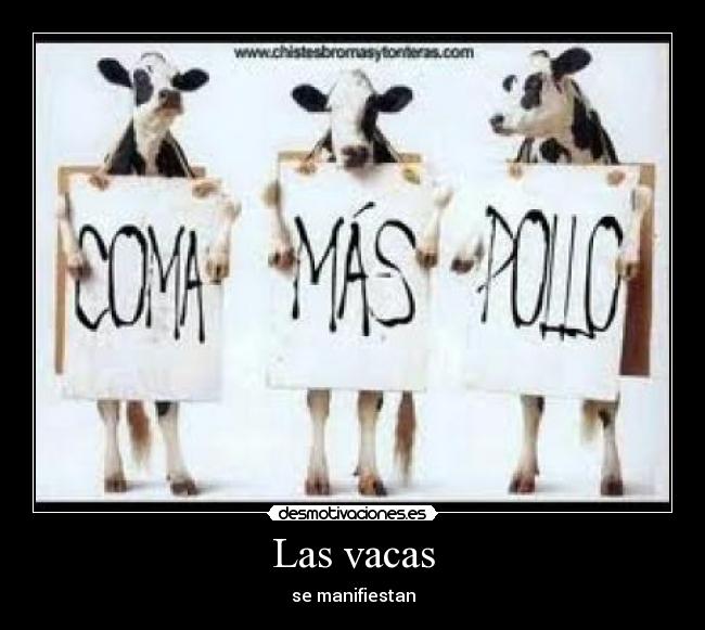 Las vacas - se manifiestan