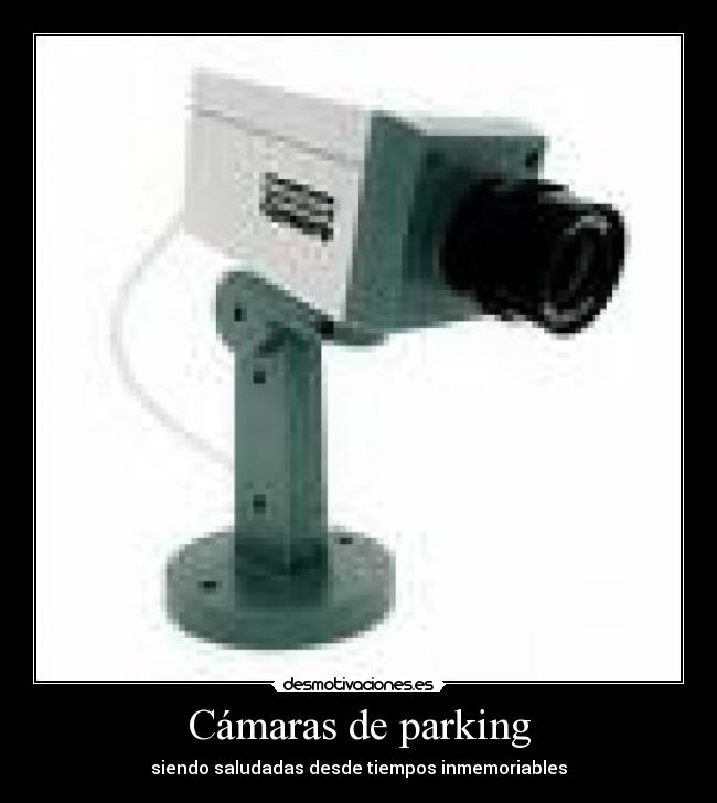 Cámaras de parking - 