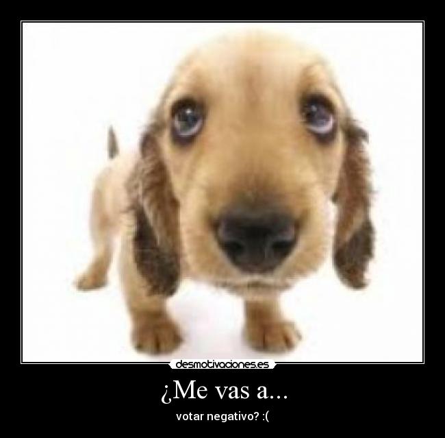 ¿Me vas a... - votar negativo? :(