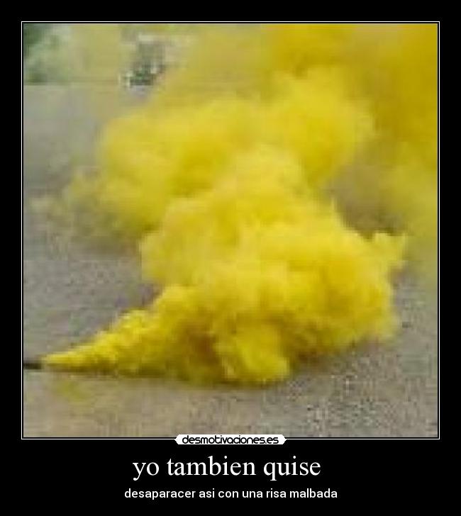 yo tambien quise - desaparacer asi con una risa malbada