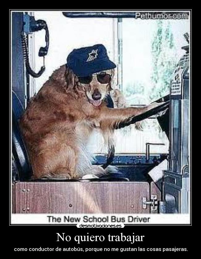 No quiero trabajar - como conductor de autobús, porque no me gustan las cosas pasajeras.