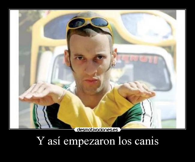 carteles canis comienzos desmotivaciones