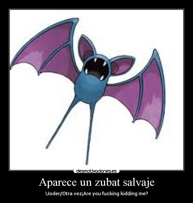 Aparece un zubat salvaje -