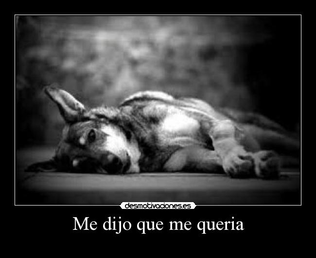 Me dijo que me queria - 