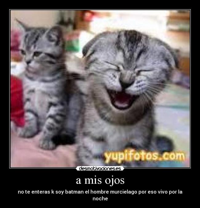 a mis ojos - no te enteras k soy batman el hombre murcielago por eso vivo por la noche