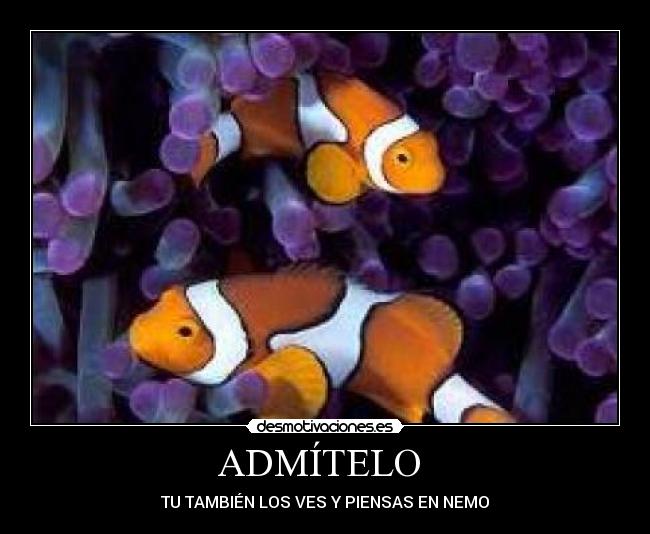 ADMÍTELO -