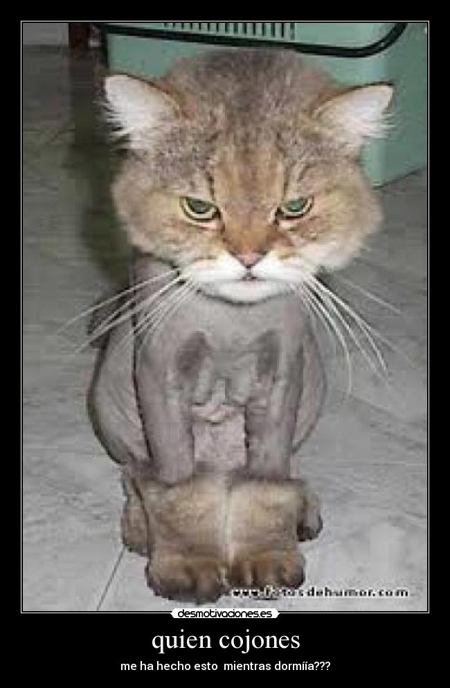 quien cojones -