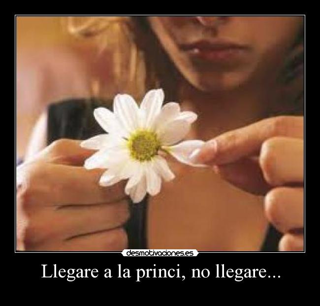 Llegare a la princi, no llegare... - 