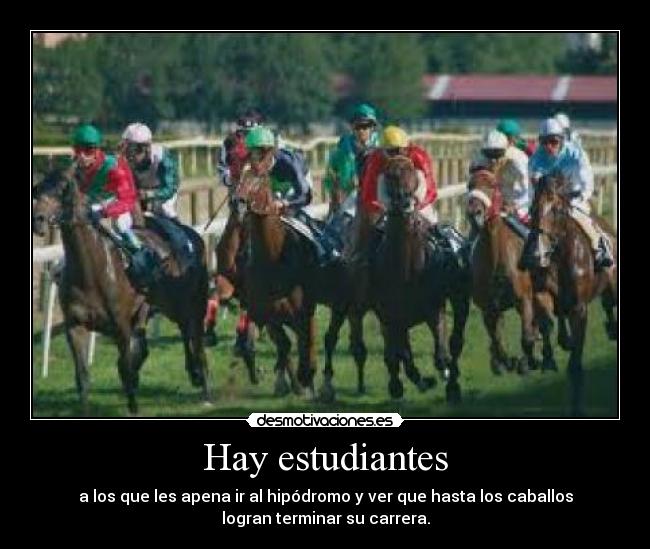 Hay estudiantes - a los que les apena ir al hipódromo y ver que hasta los caballos
logran terminar su carrera.
