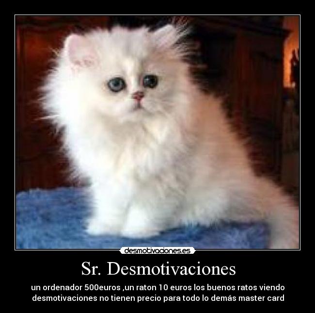Sr. Desmotivaciones - un ordenador 500euros ,un raton 10 euros los buenos ratos viendo
desmotivaciones no tienen precio para todo lo demás master card