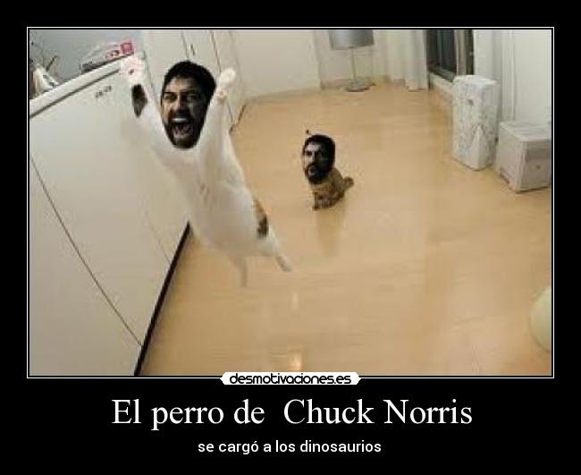 El perro de Chuck Norris - se cargó a los dinosaurios