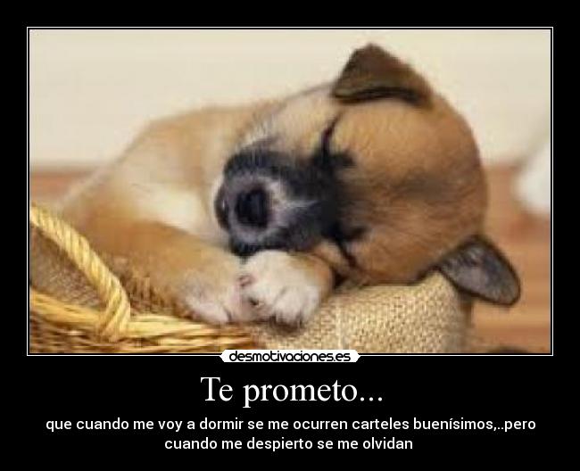 Te prometo... - que cuando me voy a dormir se me ocurren carteles buenísimos,..pero
cuando me despierto se me olvidan